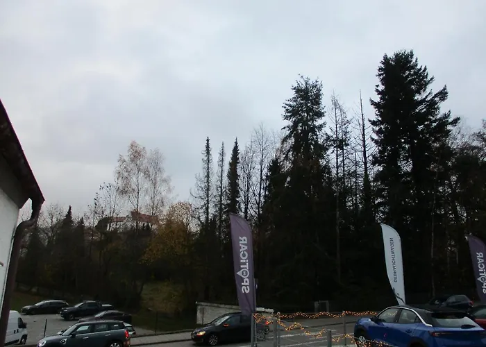 Parsberger 6 *